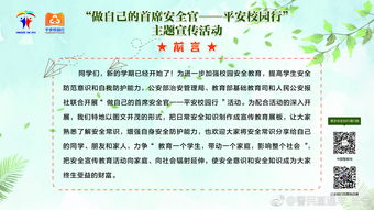 做自己的首席官平安校园行主题作文