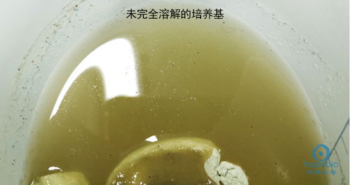 培养基灭菌要注意事项