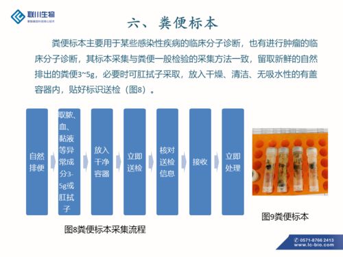 制作过程,注意事项