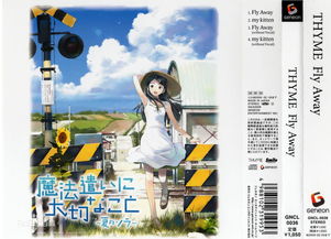 注意事项,魔法,ost