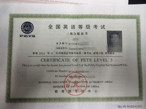 英语,注意事项,考试