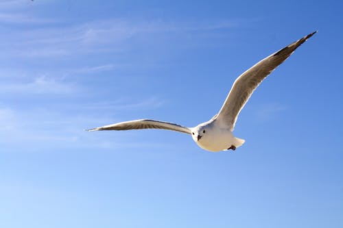 上海一位父亲立下遗嘱：女儿，你的孝心只值1块钱