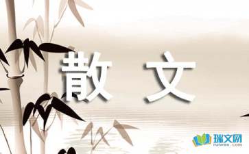 手心里的灿烂-随笔散文