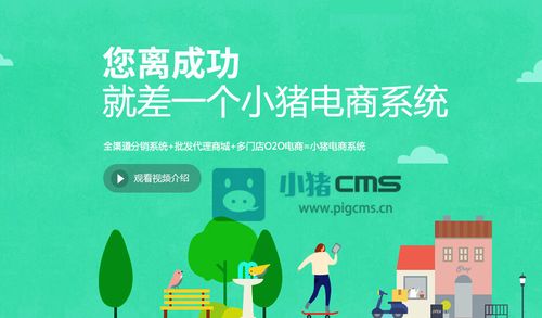 有人用过小猪电商系统么?