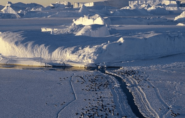 朋友圈关于单身的经典说说(70条) 朋友圈关于单身的经典说说(70条)