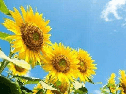 唯美走心的经典说说(80条) 唯美走心的经典说说(80条)