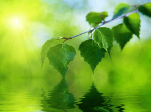 充满诗意略带伤感的经典说说(55条) 充满诗意略带伤感的经典说说(55条)