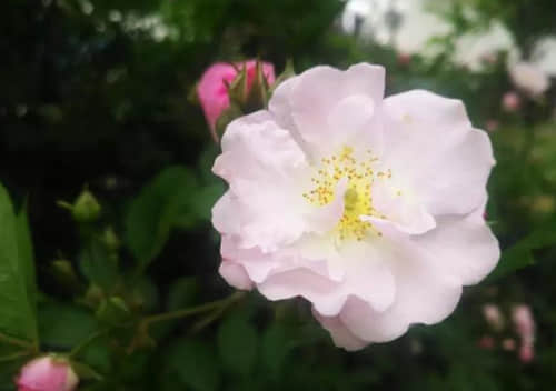 简单精辟有道理的经典说说(51条) 简单精辟有道理的经典说说(51条)