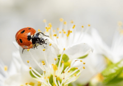 一针见血的经典语录(66条) 一针见血的经典语录(66条)