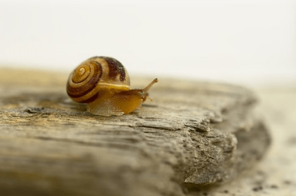 被生活压抑的很累经典说说(56条) 被生活压抑的很累经典说说(56条)