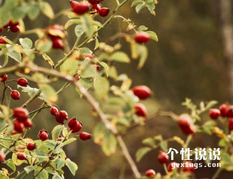 67条深刻有内涵的经典说说 67条深刻有内涵的经典说说