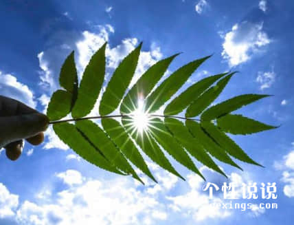 空间5月触动心灵的经典说说(53条) 空间5月触动心灵的经典说说(53条)