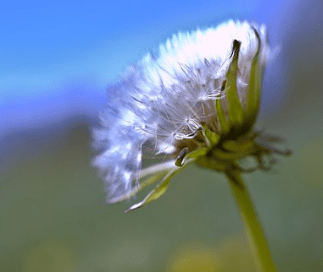 朋友圈致自己的经典语录(88条) 朋友圈致自己的经典语录(88条)