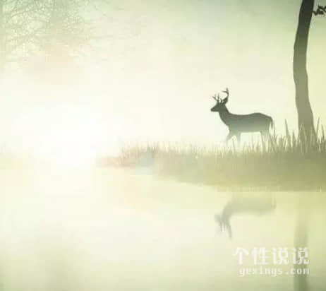 有内涵关于成长的经典说说(51条) 有内涵关于成长的经典说说(51条)