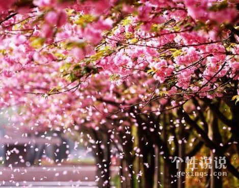 告别颓废有哲理的经典说说(47条) 告别颓废有哲理的经典说说(47条)