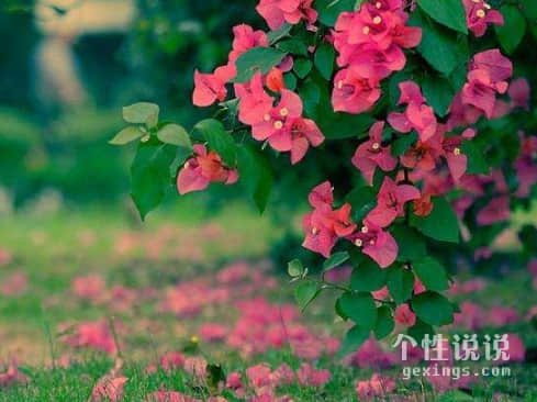 有深度有品位的经典说说(44条) 有深度有品位的经典说说(44条)