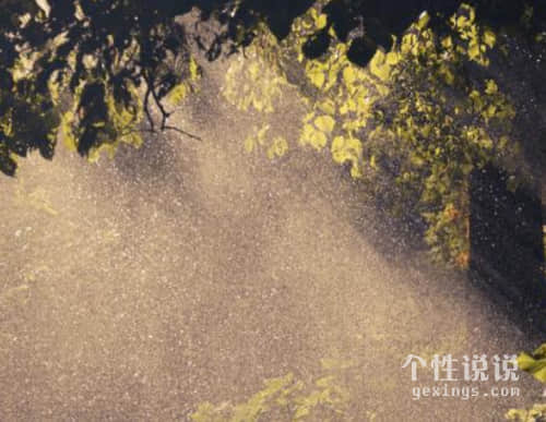 经典说说人生哲言 有深度有品味的句子(57句) 经典说说人生哲言 有深度有品味的句子(57句)