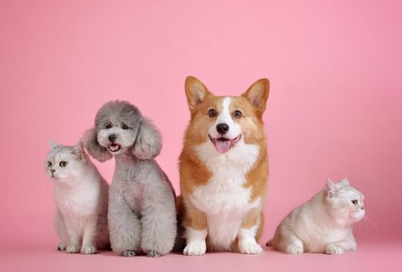 句句透彻精致人生的经典说说(50句) 句句透彻精致人生的经典说说(50句)