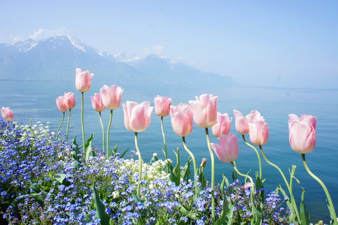 元旦的心情说说元旦说说祝福句子 元旦的心情说说元旦说说祝福句子