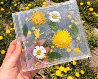 写到心窝子里的说说 写到心窝子里的说说