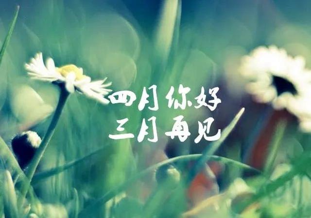 四月你好经典句子2021年4月你好 四月你好经典句子2021年4月你好