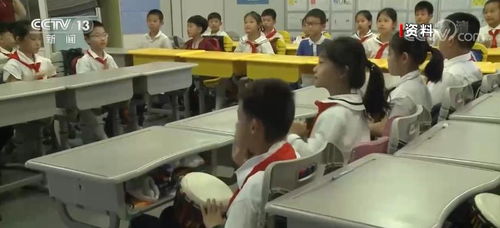 中学基础教育知识