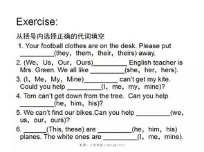 小学陕西版英语基础知识点