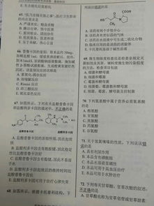 药师考试试题基础知识