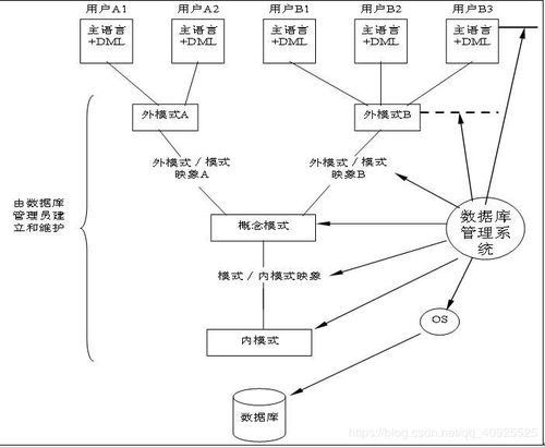 具有数据库系统的基础知识