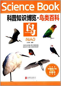 口红分类基础知识,芯片分类基础知识,疤痕分类基础知识
