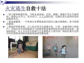 消防基础知识讲座word