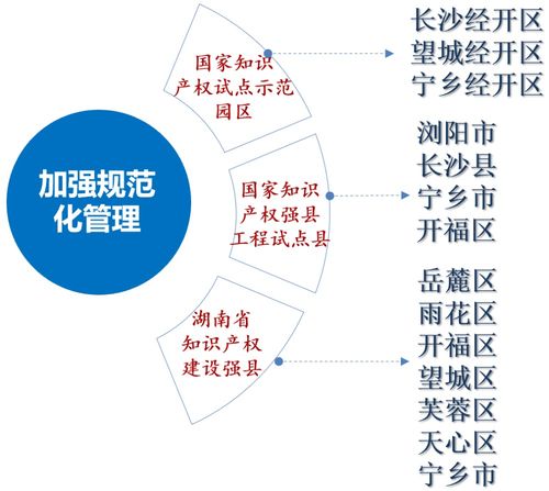 模版,知识产权,优势,基础