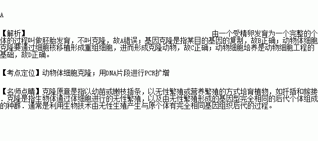 动物的克隆基础知识