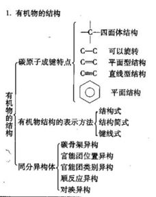 有机化学,基础知识,整合