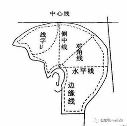 点线面美发基础知识
