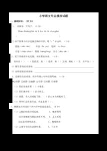 基础知识,试卷,小学毕业,语文