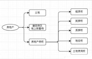 四个基础内容是指基本知识