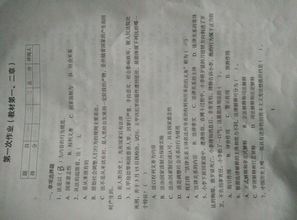 法学基础知识形成性考核一答案,法学基础知识形成性考核一答案浙江电大,国开法学基础知识形成性考核一答案