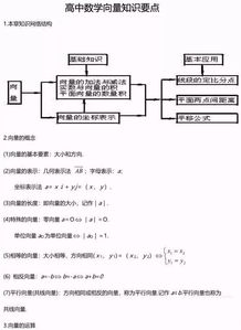 夯实了的基础知识