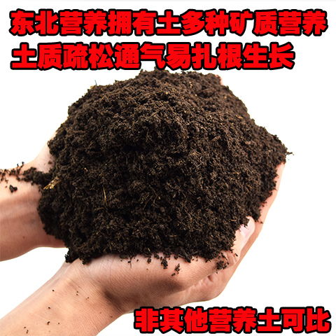 多肉营养花土配制