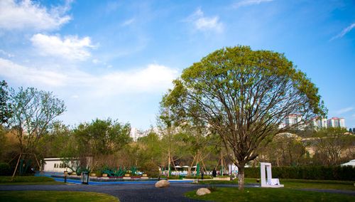 去云南养花在哪买房