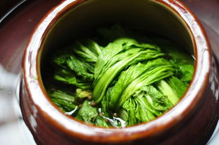 酸菜坛子养花
