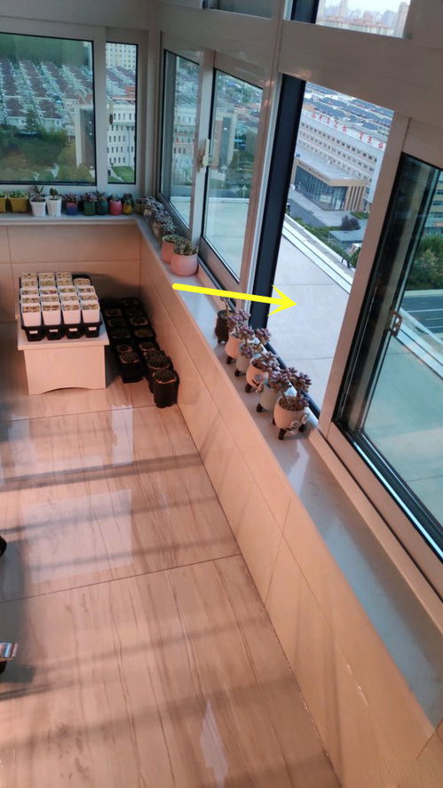 房子腰线层养花