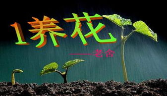 养花概括主要内容