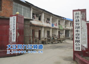 打米厂的灰尘可以养花吗