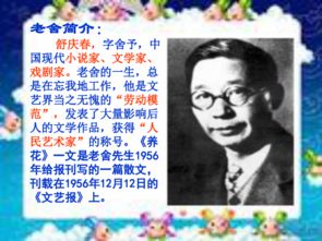 六级养花的教学