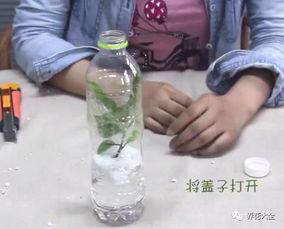 泡沫怎么改造成养花