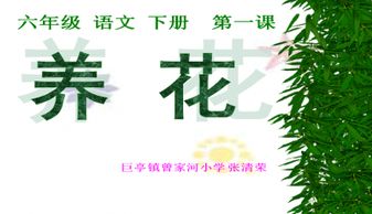 养花阅读概括本文主要内容