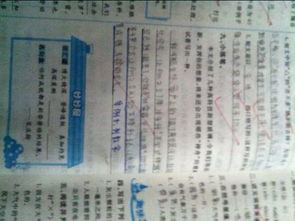 新型养花玻璃简介作文