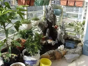 阳台养花鱼菜